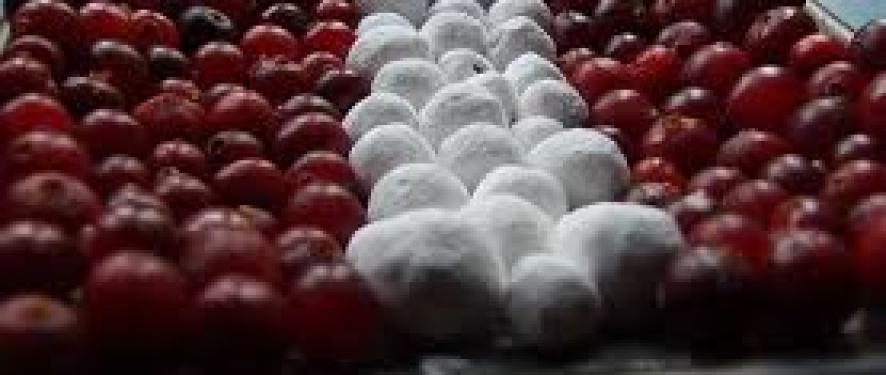 Latvijai   –  95 Latvija