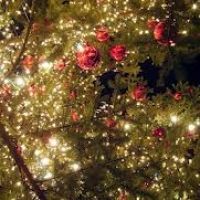 Ziemassvētku koncerti Ziemassvētki