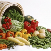 VegetableBasket
