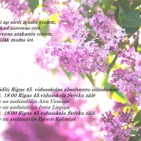 IZLAIDUMI RĪGAS 45.VIDUSSKOLĀ Syringa Lilac Flowers Wallpaper 3