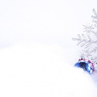 Svētbrīdis Rīgas Krusta baznīcā 22.12. 9:00 Christmas 2535555 960 720