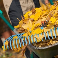 Rudens lapu talka 2018 Grabt Lapas