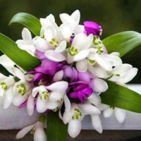 Turēsim īkšķus! 5540a082ca2de