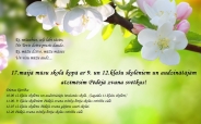 9226 Spring Flowers Backgrounds 29153