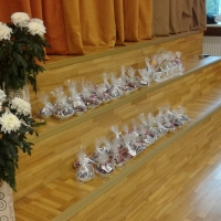 Pianistu festivāls “Kad mārtiņrozes zied…” 20191109 103128 1