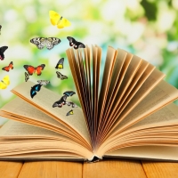 Books And Butterflies