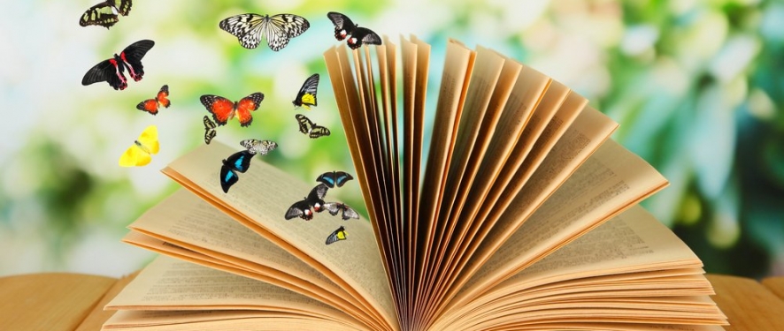 Books And Butterflies